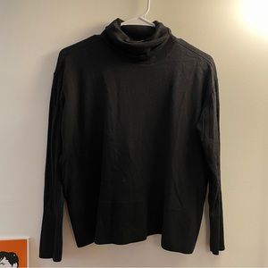 Everlane 100% Wool Turtleneck Sweater